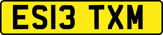 ES13TXM