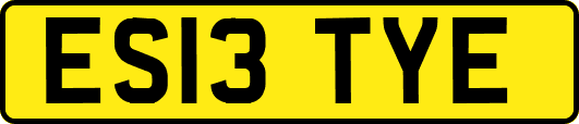 ES13TYE