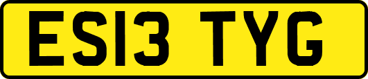 ES13TYG
