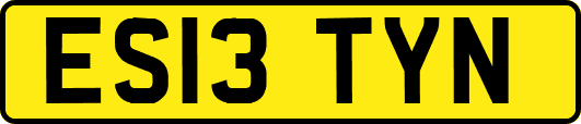 ES13TYN