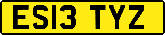 ES13TYZ