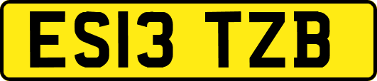 ES13TZB