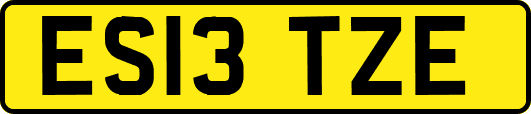 ES13TZE