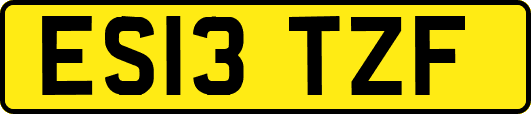 ES13TZF