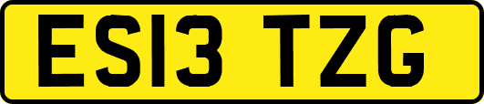 ES13TZG