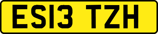 ES13TZH