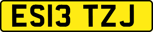 ES13TZJ
