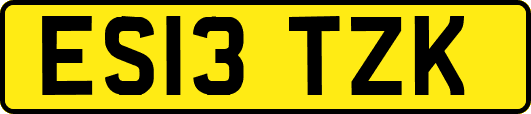 ES13TZK