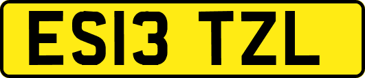 ES13TZL