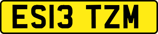 ES13TZM