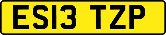 ES13TZP
