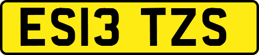 ES13TZS