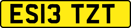 ES13TZT