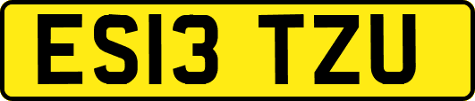 ES13TZU