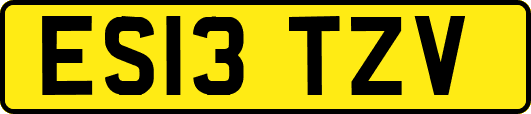 ES13TZV