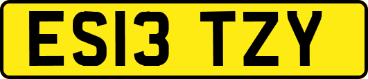 ES13TZY