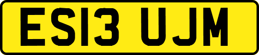 ES13UJM