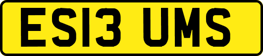 ES13UMS