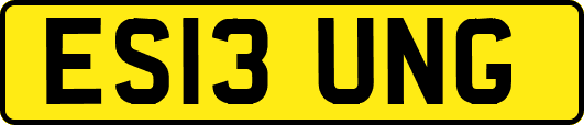 ES13UNG