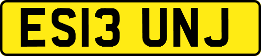 ES13UNJ