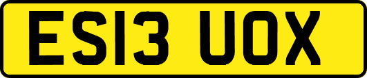 ES13UOX
