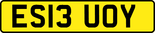 ES13UOY