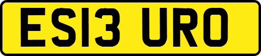 ES13URO