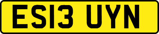 ES13UYN