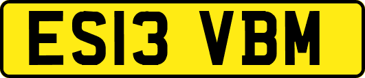 ES13VBM
