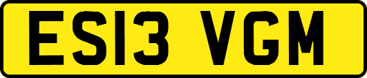 ES13VGM