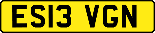 ES13VGN