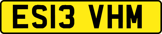 ES13VHM