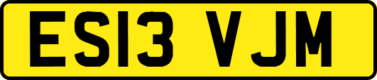ES13VJM