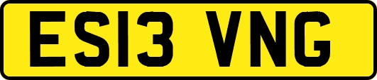 ES13VNG