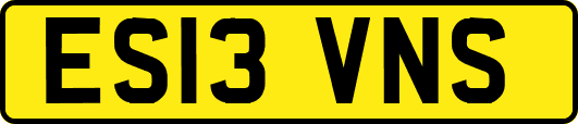 ES13VNS