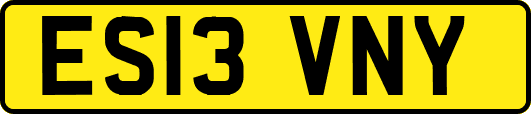 ES13VNY