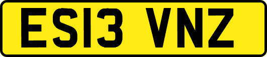 ES13VNZ