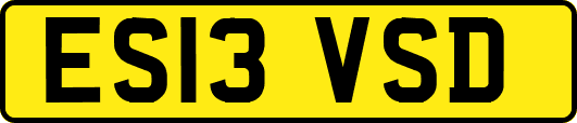 ES13VSD