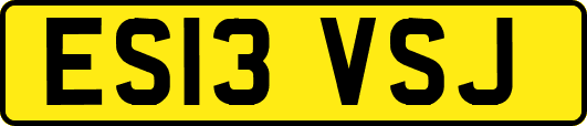 ES13VSJ