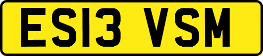 ES13VSM