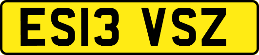 ES13VSZ