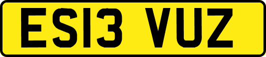 ES13VUZ