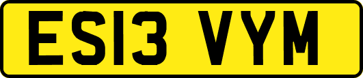 ES13VYM