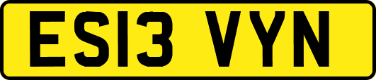 ES13VYN