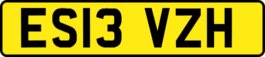 ES13VZH