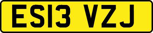 ES13VZJ