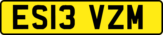 ES13VZM