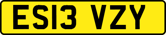ES13VZY