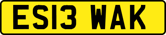 ES13WAK