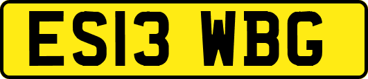 ES13WBG